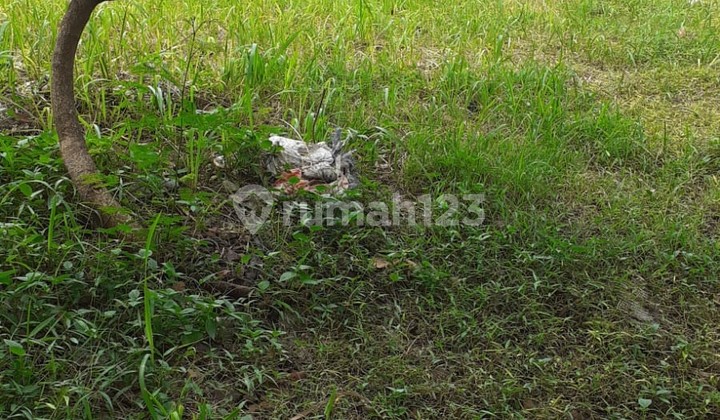 For sale plot in Kencana Loka 1 Cluster, BSD City, Tangerang For sale plot in Kencana Loka 1 Cluster, BSD City, Tangerang