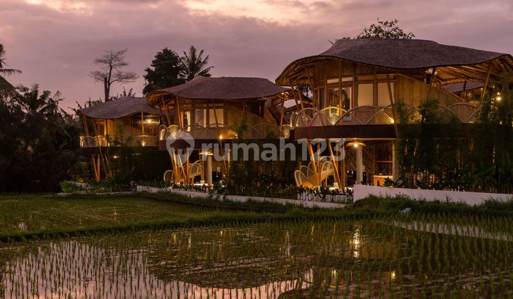 12 Bedroom Villa With Ricefield View for sale in Ubud