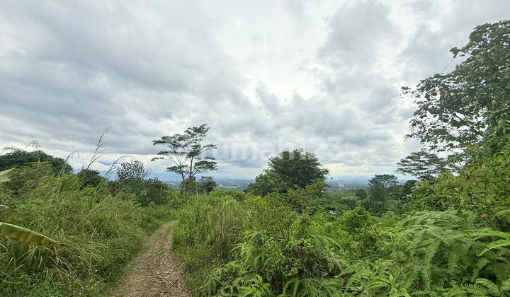 Tanah Best View Ketinggian 400 MDPL Cocok untuk Perumahan atau Villa Resort Lokasi Strategis Dekat Dengan Tagana Training Center Sentul, Bogor Tanah Best View Ketinggian 400 MDPL Cocok untuk Perumahan atau Villa Resort Lokasi Strategis Dekat Dengan Tagana Training Center Sentul, Bogor