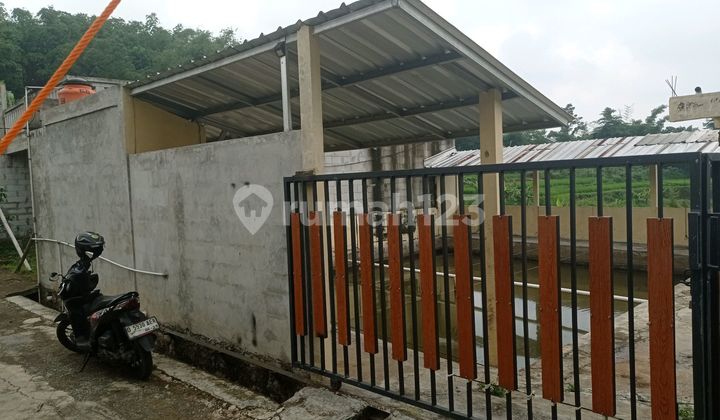 Kolam Ikan Ada Bangunan Dekat Kolam Renang Omah Opah Cijambe 1