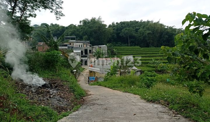 Vila Ada Kolam Ikan di Jl.jambe Panganten 2Km Dari Sma24 Vila Ada Kolam Ikan di Jl.jambe Panganten 2Km Dari Sma24