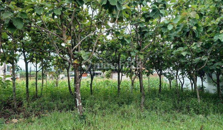 Tanah Di Jalan Villa Bandung Indah Cileunyi Bisa 2 Rumah 1