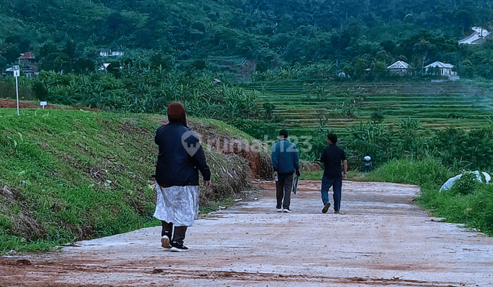 Tanah Kavling Panoramic Highland Puncak 2 Bogor 2