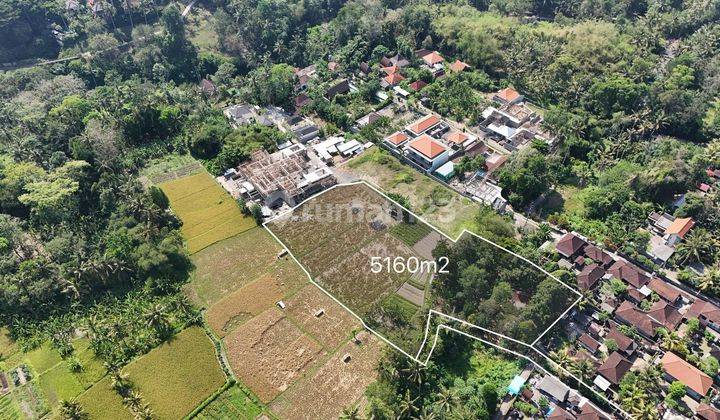 Ubud Land For Sale 1