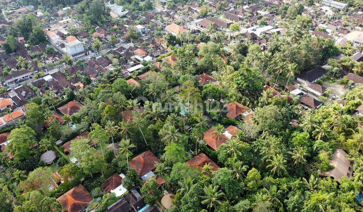 Ubud Land For Sale 2