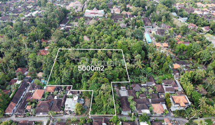 Ubud Land For Sale 1