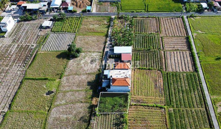 For Sale Rare Land In The Middle Of Ubud Rice Fields 2