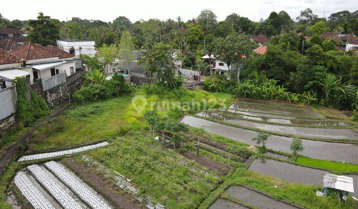 Dijual Tanah Lokasi Tabanan 1