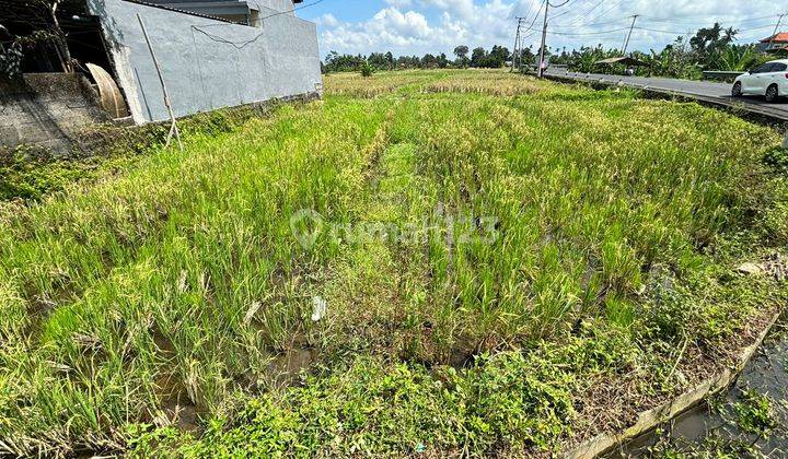 Dijual Tanah 300 m² SHM - Sertifikat Hak Milik 1