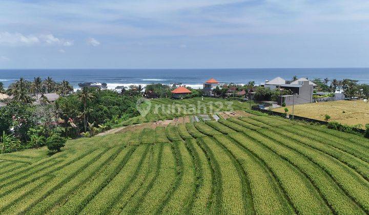 Land Plot For Sale 1