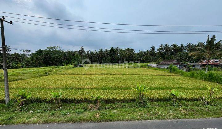 For Sale Land Plot in Villa Pejeng Ubud Gianyar Bali Land 3 SHM are 2