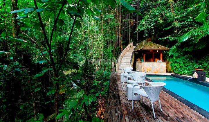 Dijual Villa Resort Super Murah Ubud 2