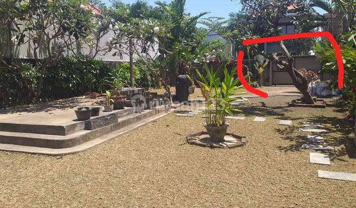 Dijual Tanah Murah Berawa Canggu 2