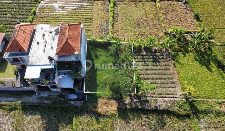 For Sale Rare Land In The Middle Of Ubud Rice Fields 1