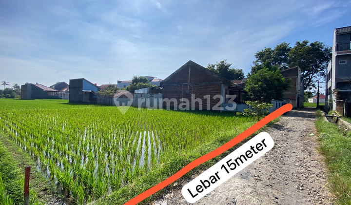 Irrigated Rice Field in Majalengka City Near the Town Square, Freehold Title Irrigated Rice Field in Majalengka City Near the Town Square, Freehold Title