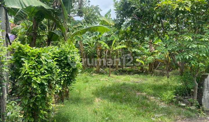 Tanah Sukapura Wahidin Pilang Tembusan Cocok Untuk Rumah Kosan Inves & Berkebun