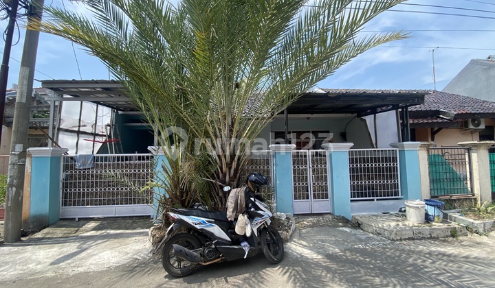 Rumah Murah Sayap Tuparev Kota Cirebon MURAH LUAS 125meter 3kamar GAS ALAM PDAM Rumah Murah Sayap Tuparev Kota Cirebon MURAH LUAS 125meter 3kamar GAS ALAM PDAM