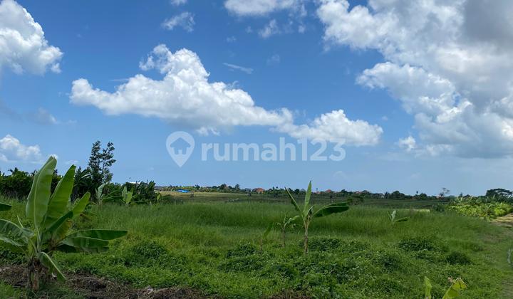 DIJUAL TANAH STRATEGIS DI CANGGU BADUNG BALI