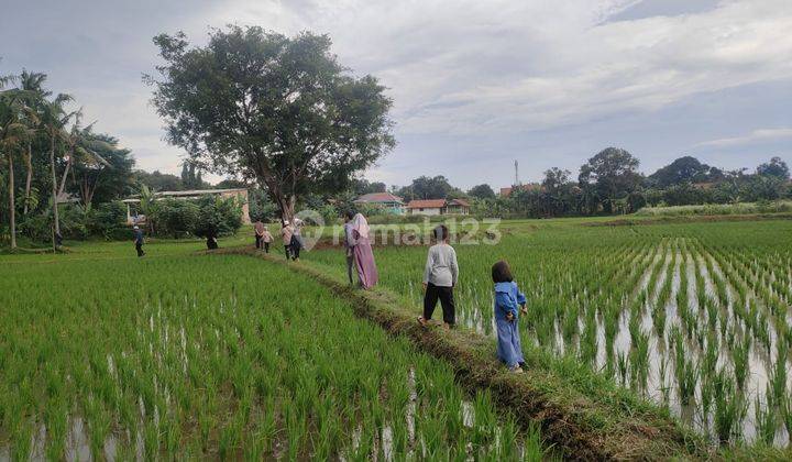 DIJUAL LAHAN LUAS DI KAWASAN KABUPATEN BEKASI 2