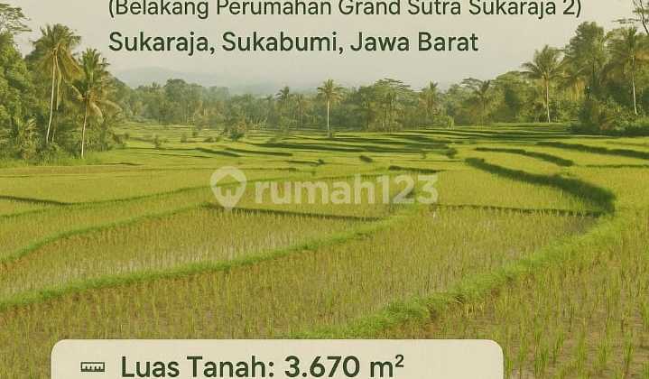 DIJUAL CEPAT SAWAH PRODUKTIF KAWASAN SUKABUMI JAWA BARAT