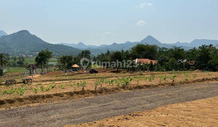 Jual Tanah Kavling View Perbukitan Di Cariu Tanah 1