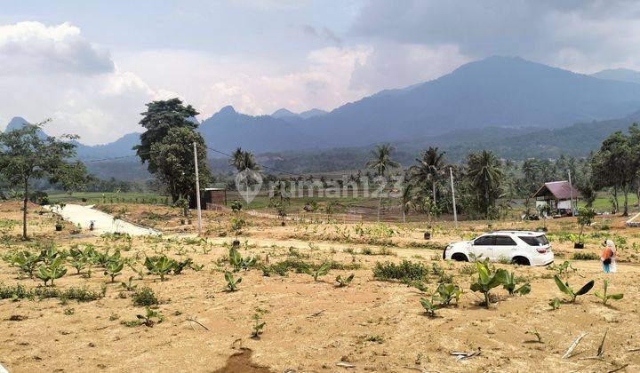 Tanah Jual Murah Bisa Untuk Villa Permanen - Cariu Bogor Timur Tanah