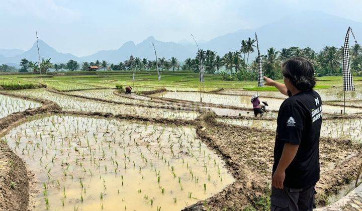 Jual Kavling Sawah View Indah Di Cariu Tanah 2