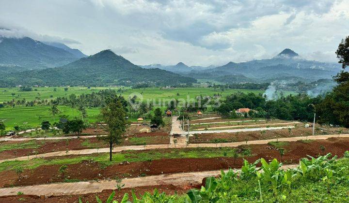 Jual Tanah Sawah Pinggir Jalan Cariu Bogor Timur  2