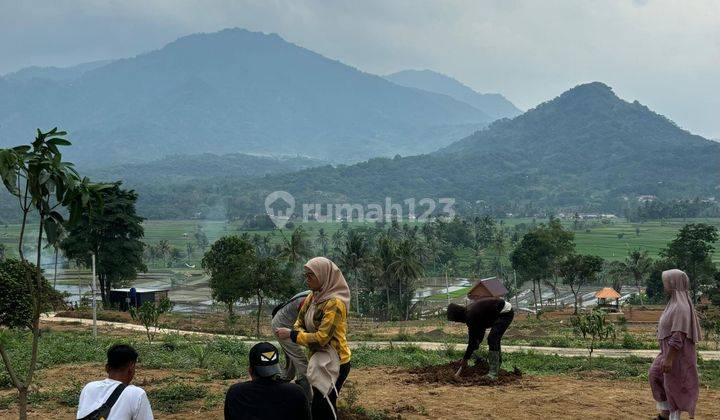 Jual Tanah Murah Di Cariu Bogor Timur Tanah 1