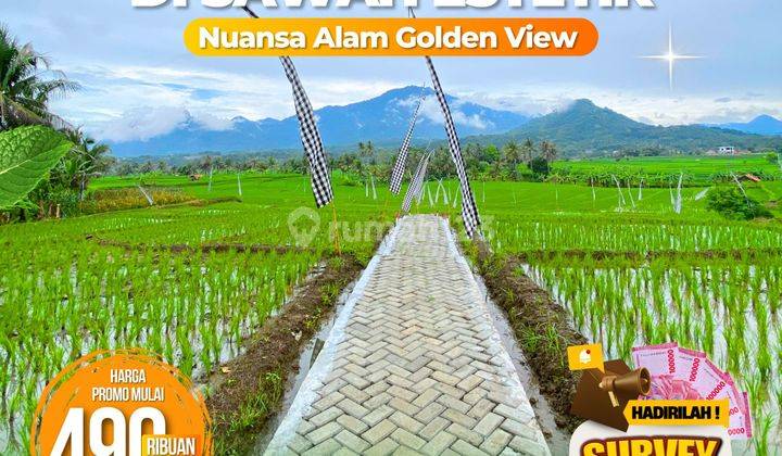 Jual Sawah Produktif Kavling Nuansa Alam Cariu Bogor Timur  2