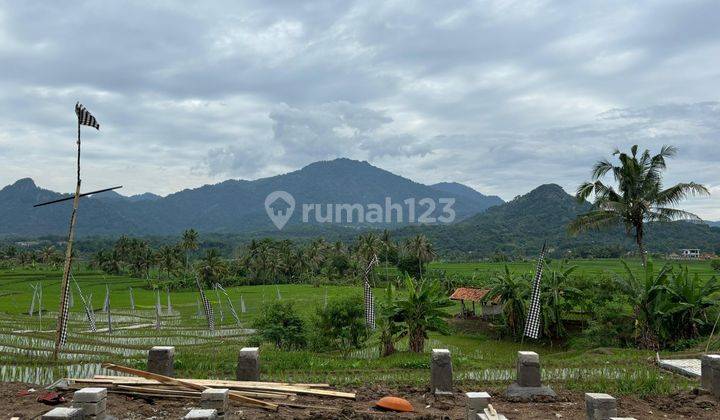 Tanah Sawah Murah Include SHM - Cariu Bogor Timur Tanah 2