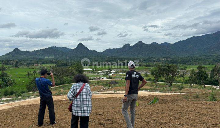 Jua Tanah Kavling Pinggir Jalan Transyogi Cariu Bogor Timur  2