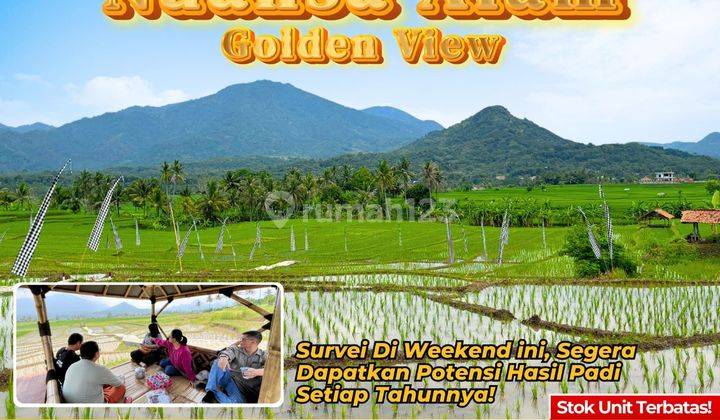 Jual Tanah Sawah Murah Produktif Cariu Bogor Timur Lainnya 1