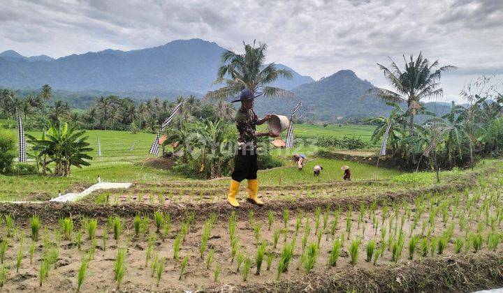 Tanah Murah Di Jual Di Bogor Timur Cariu Tanah 1