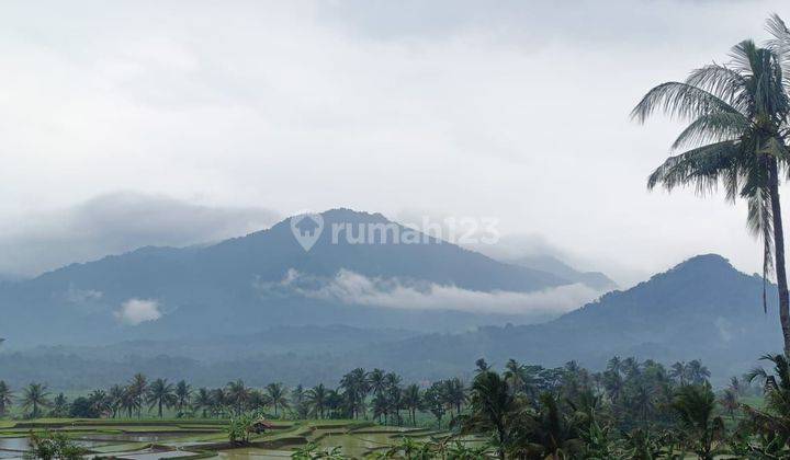 Di Jual Tanah Murah Di Jalan Raya Provinsi Tanah