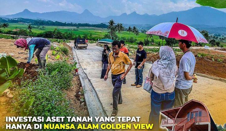 Jual Tanah Murah Pinggir Jalan Provinsi Cariu Tanah 1