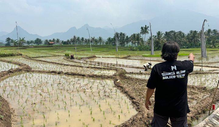 Jual Tanah Kavling Sawah Pinggir Jalan Cariu Bogor Timur Tanah 2