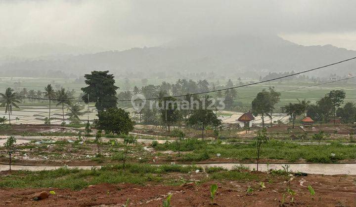 Jual Tanah Untuk Villa Dan Kebun Cariu Bogor Timur Tanah 2