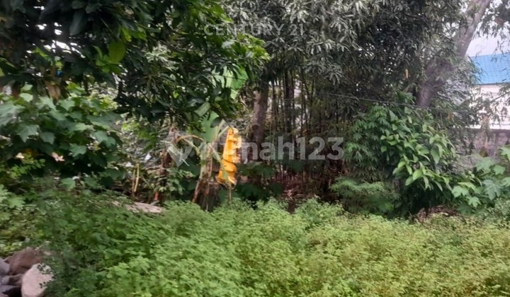 Tanah Luas 242M2 di Kalasan Dekat Rs Bhayangkara untuk Investasi Tanah Luas 242M2 di Kalasan Dekat Rs Bhayangkara untuk Investasi