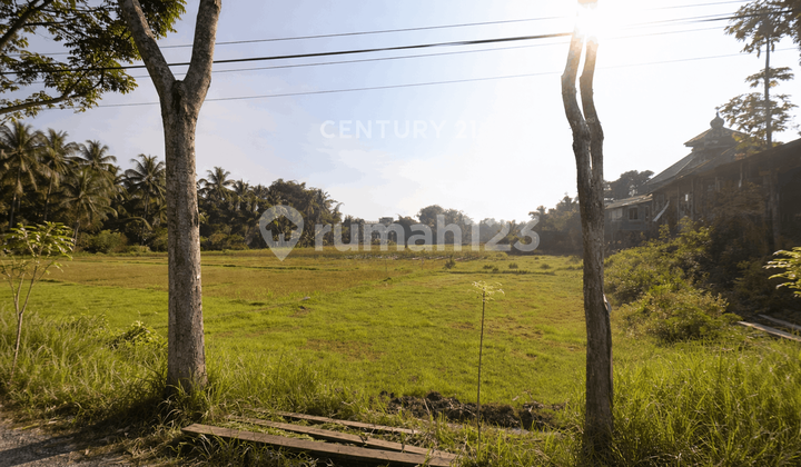 Land Area 9130M2 Near Borobudur Temple Ideal for Business
