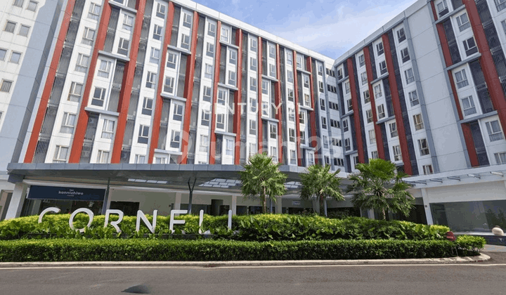 Apartemen Full Furnish Di Barsa City Cocok Untuk Hunian