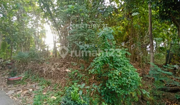 Tanah Pekarangan 455m2 Di Wates Hanya 300m Ke IKIP PGRI Wates