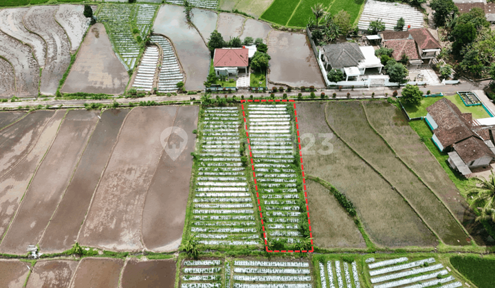 Tanah Sawah di Dekat Obelix Village untuk Invesatasi