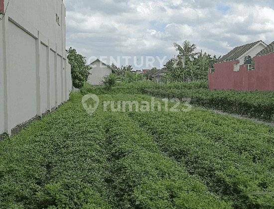 For Sale, Yard Land LT 436 M Ld 8 M Maguwoharjo For Sale, Yard Land LT 436 M Ld 8 M Maguwoharjo