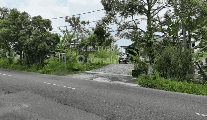 Gudang Eks Produksi Daerah Palagan LD 12 Luas 1100 M 1