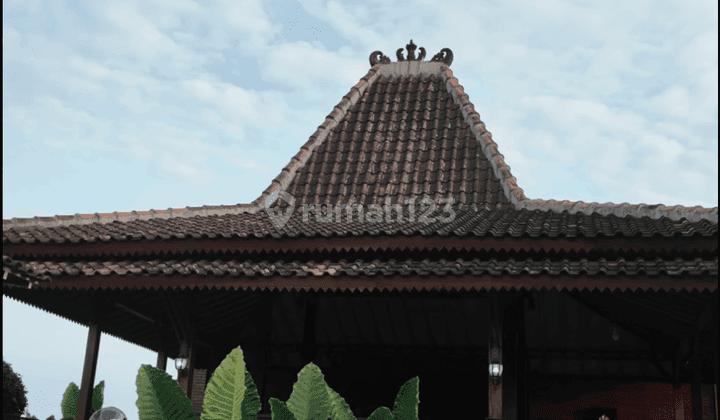 Rumah Elegan Dan Nyaman Dengan Teras Joglo Di Bokoharjo Kalasan 2