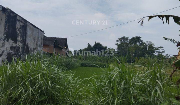 Tanah Luas 735 M2 Di Jl Kaliurang Km 10 Lokasi Strategis 2