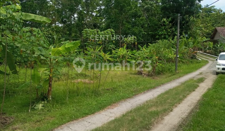Land 1778M2 in Balecatur Near Umy Campus