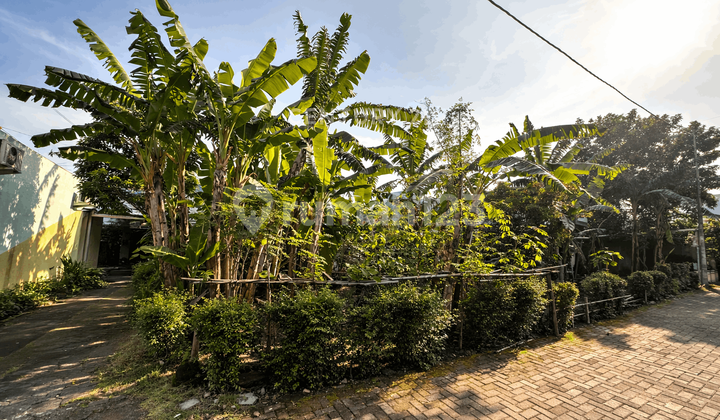 Tanah Luas 506M2 di Ngaglik Cocok untuk Bisnis Kos