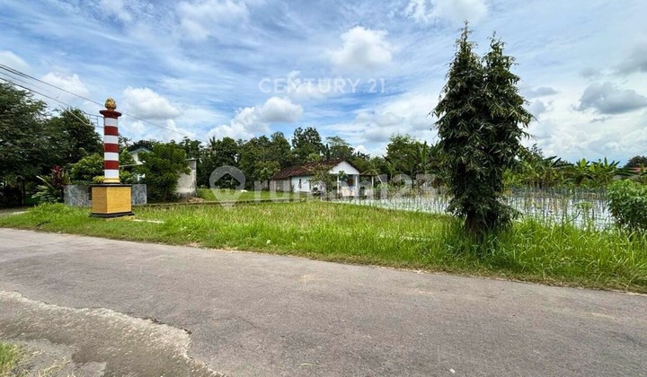 Investasi Menjanjikan! Tanah Sawah Prospektif Di Kalasan, Akses Mudah & Potensi Usaha Tinggi" Investasi Menjanjikan! Tanah Sawah Prospektif Di Kalasan, Akses Mudah & Potensi Usaha Tinggi"